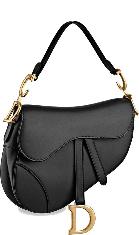 dior saddle bag.